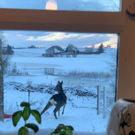 Vinkelgaard Apartment Ringsted Bagian luar foto